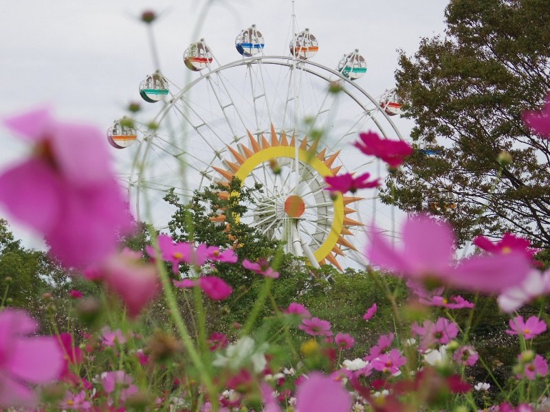 熊本市動植物園