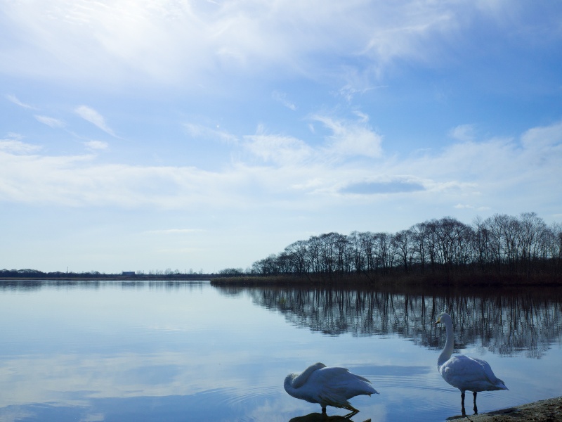 ウトナイ湖