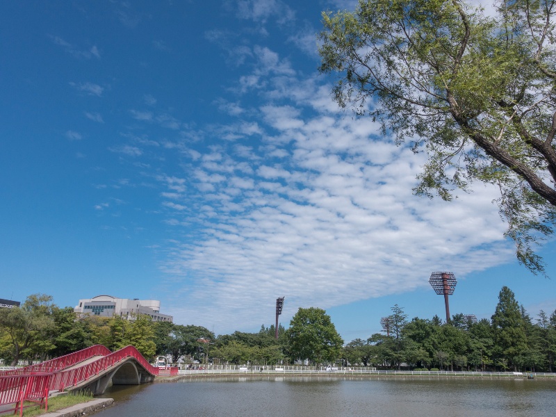 開成山公園