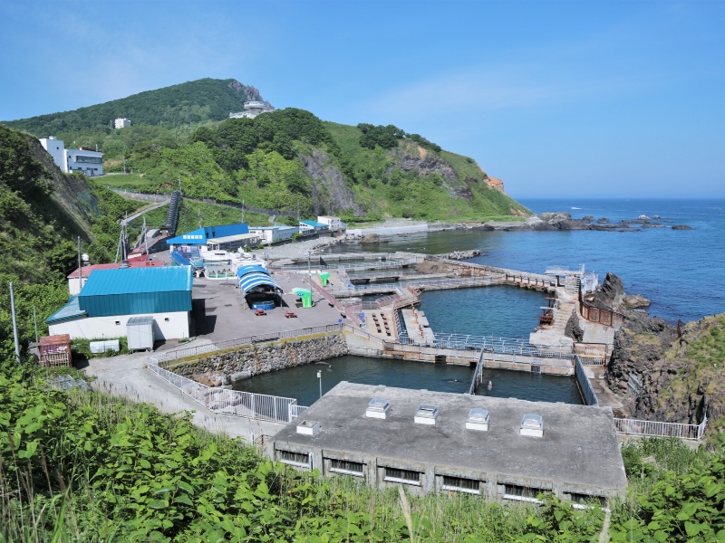 おたる水族館