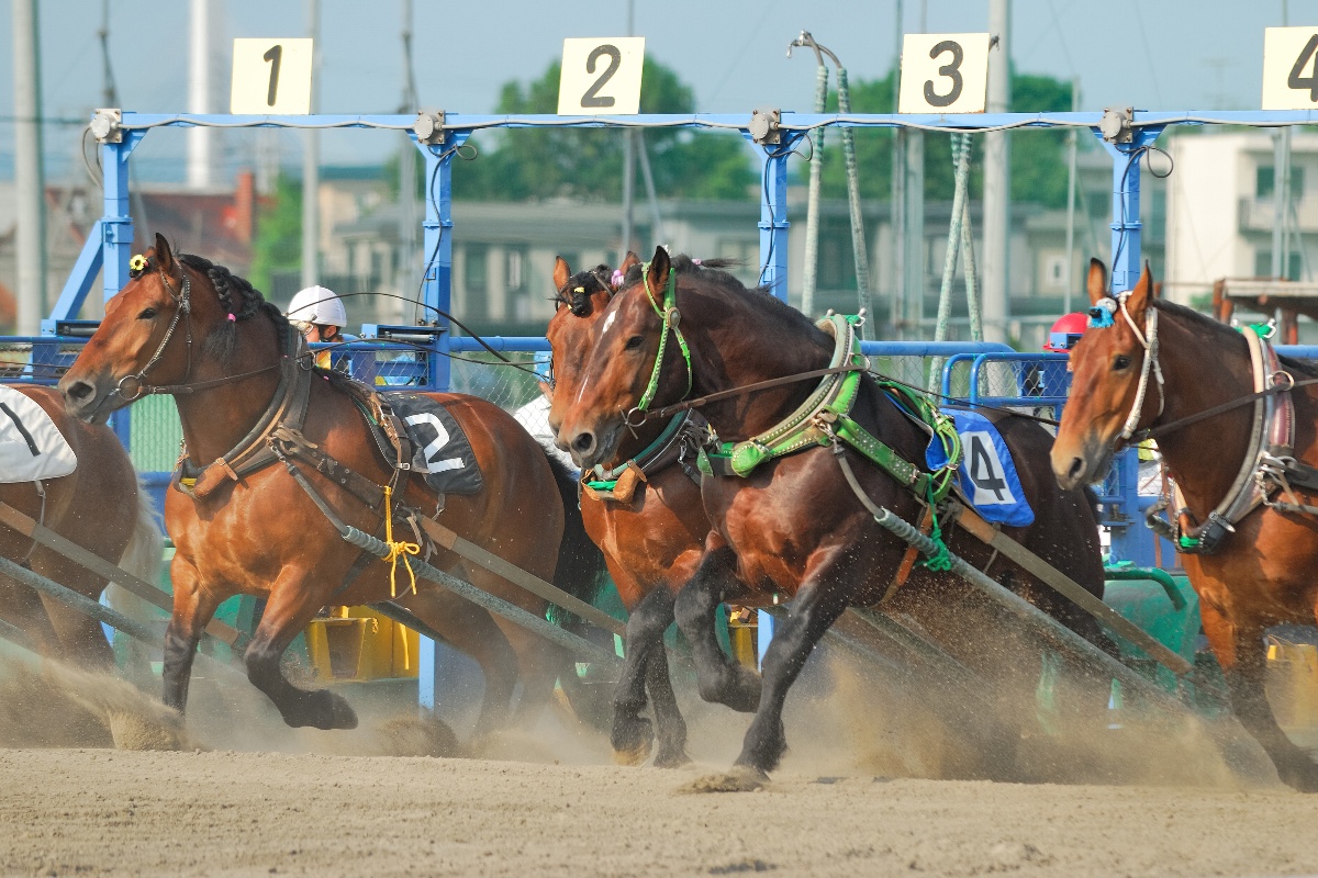 帯広競馬場（ばんえい十勝）