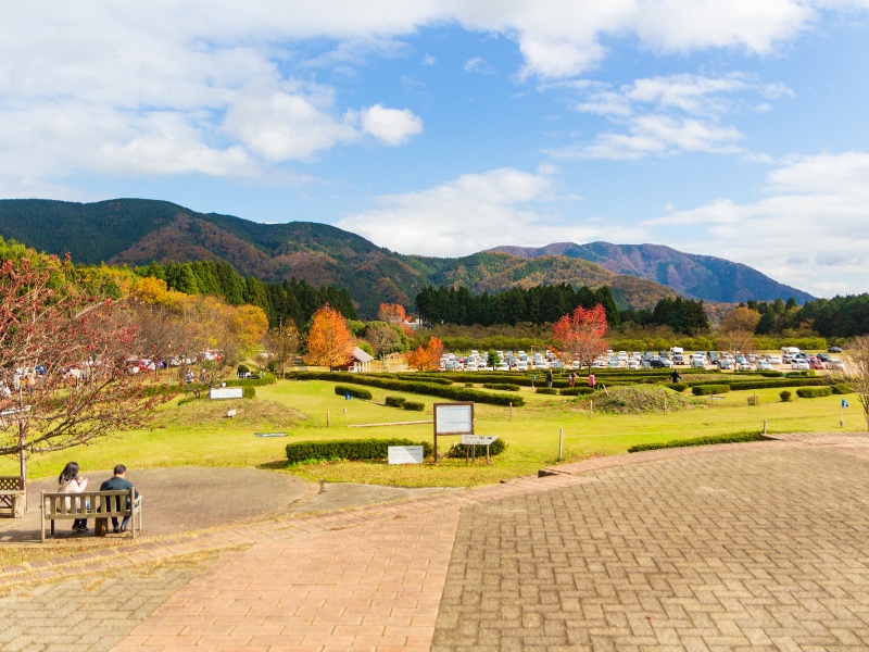 高島市マキノ農業公園マキノピックランド