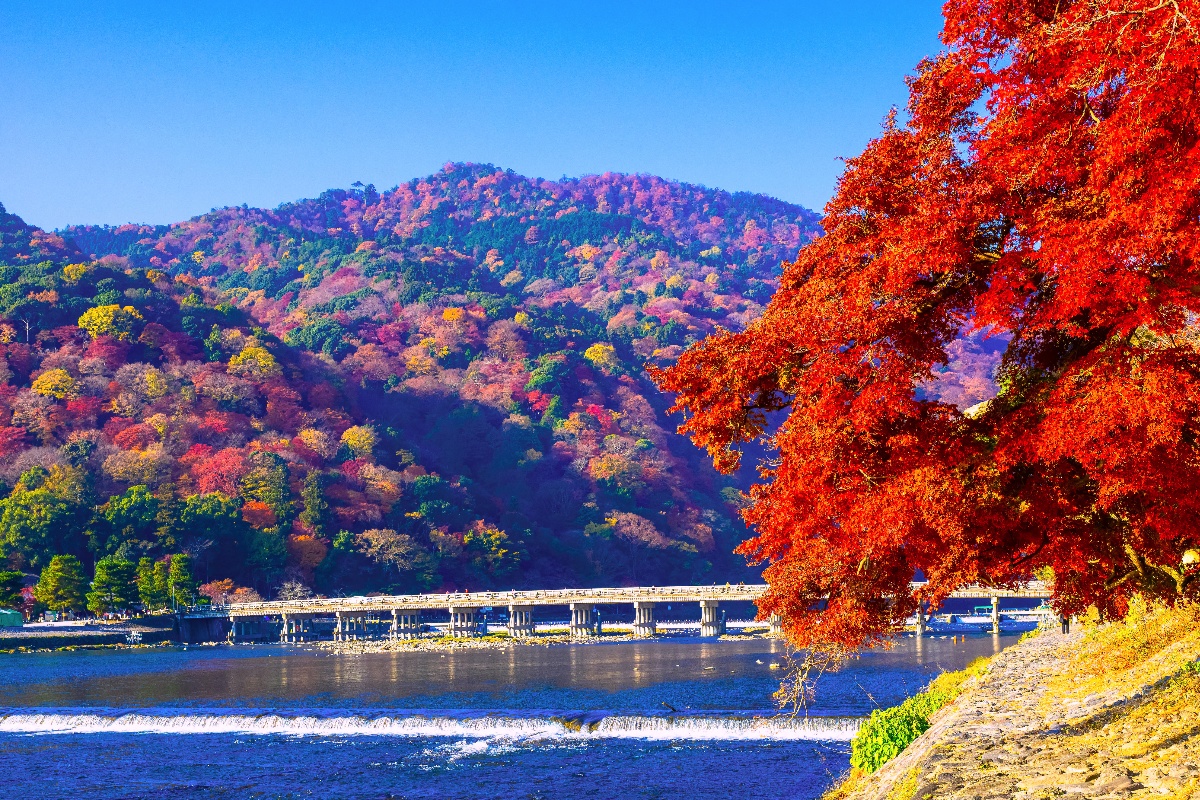 渡月橋