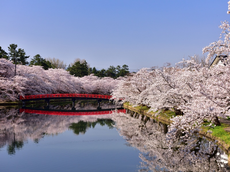 弘前公園