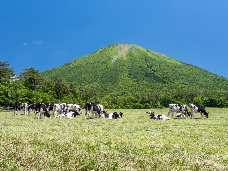 大山まきばみるくの里